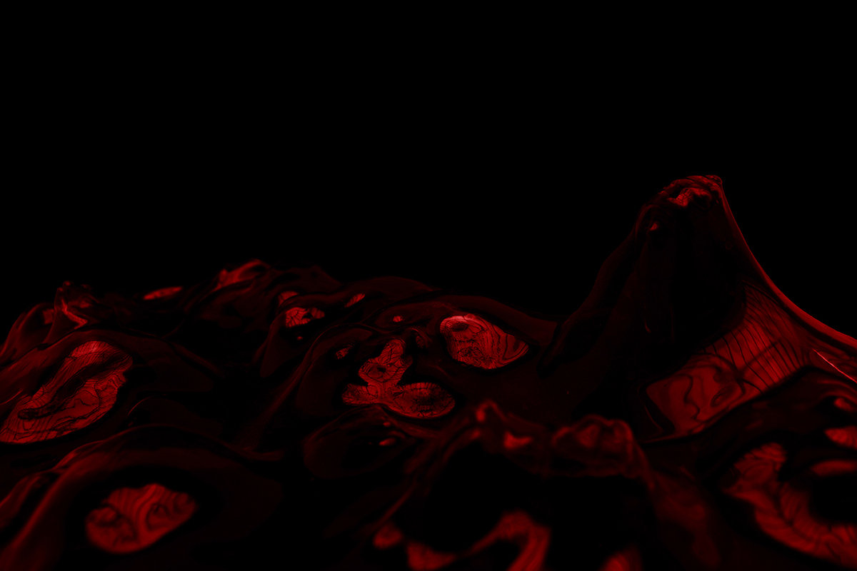 DSC_0324red