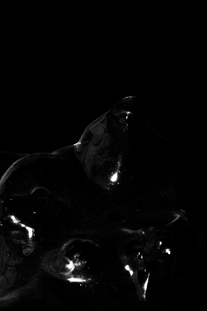 DSC_0351